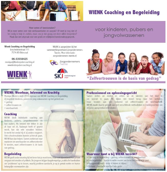 wienk flyer xomex
