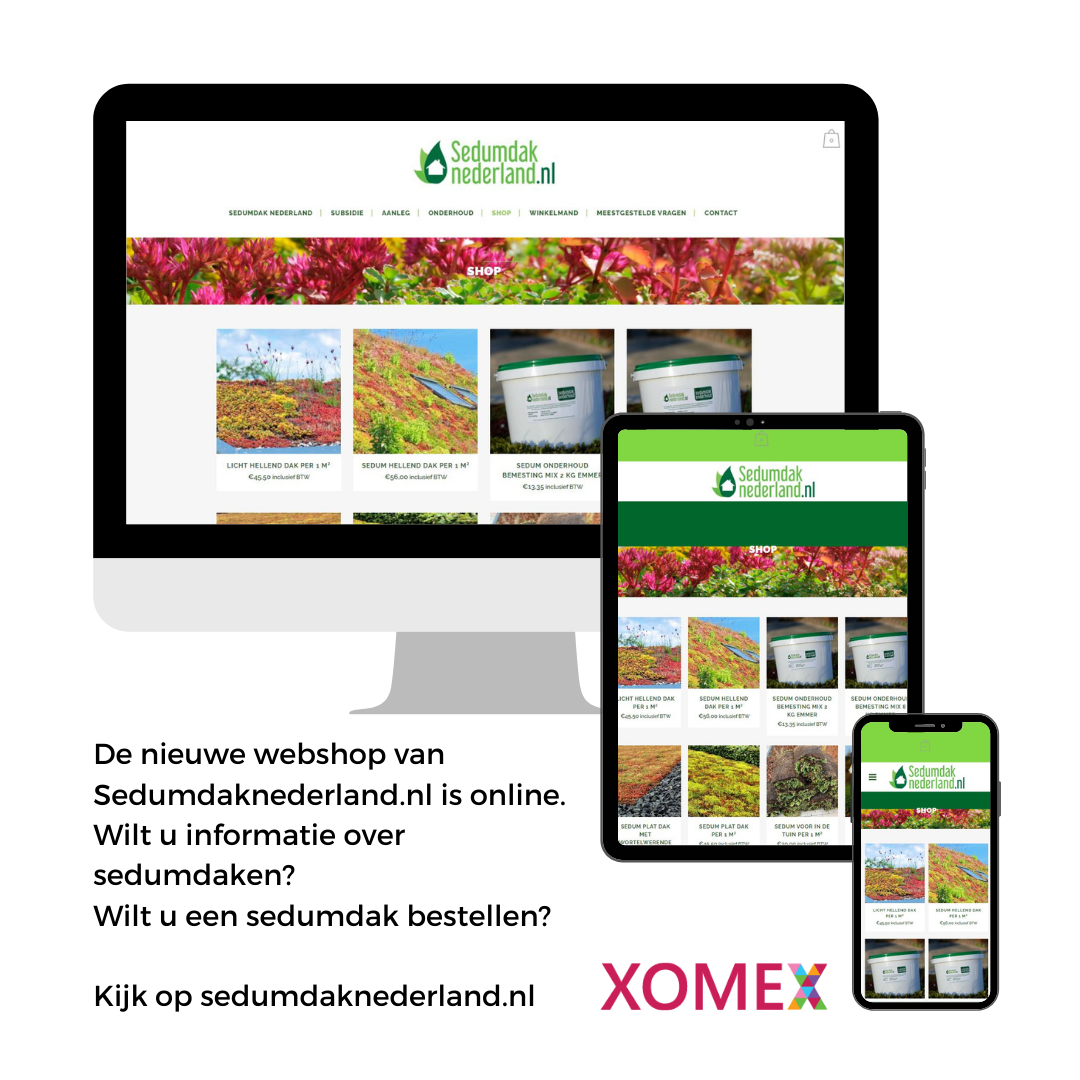 responsive website